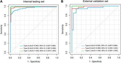 Development and validation of a deep learning-based model to distinguish acetabular fractures on pelvic anteroposterior radiographs